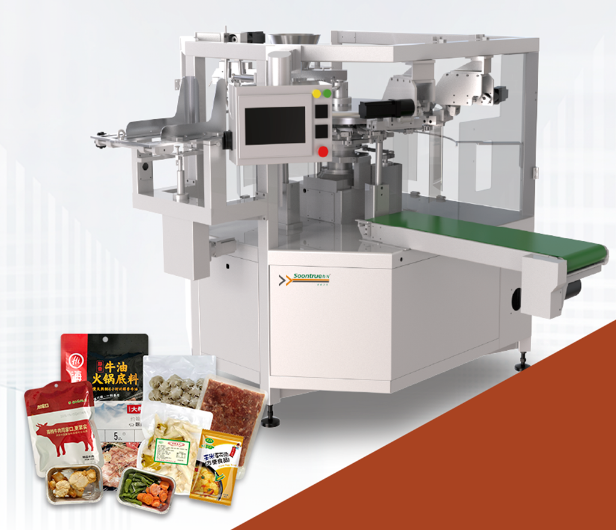 GDS210-10 servo bag packaging machine